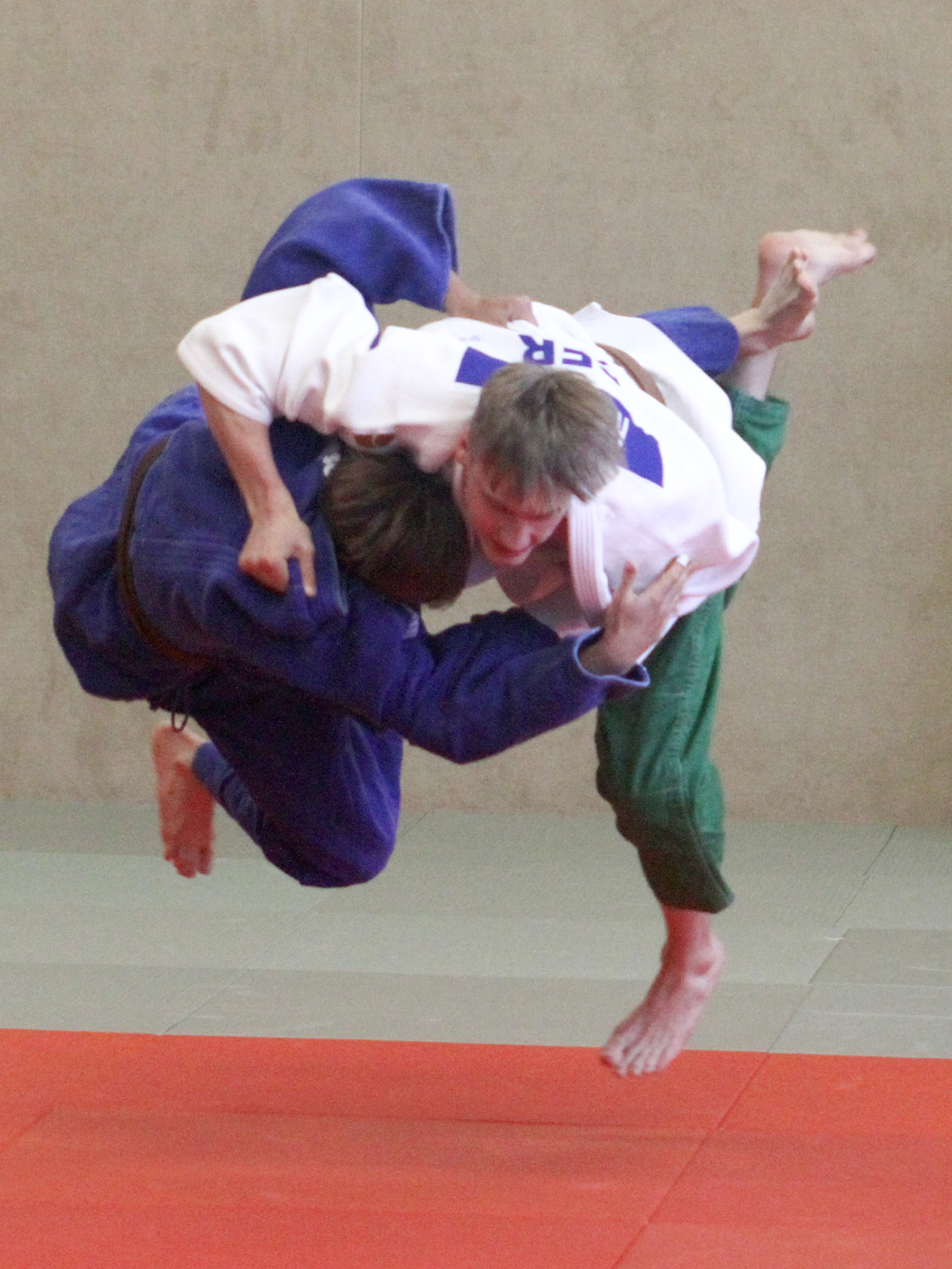 psv Judo OL 20160611richter courtz